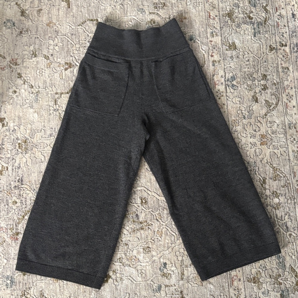 Aritzia Wilfred Wool Blend High Rise Culottes with Stretch